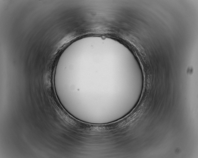 X0000098141451200805011333
