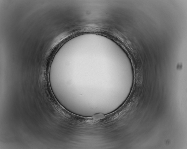 X0000098141453200805011332