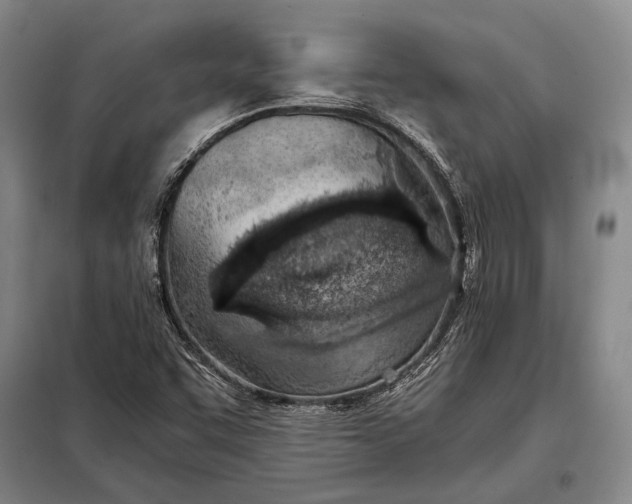 X0000098141455200805011332