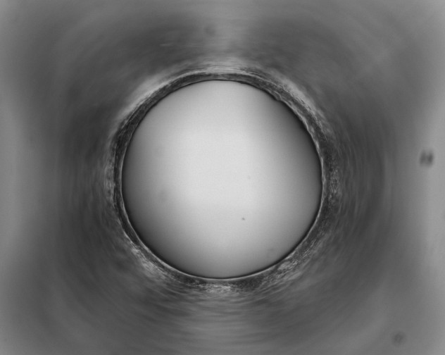 X0000098141456200805011332
