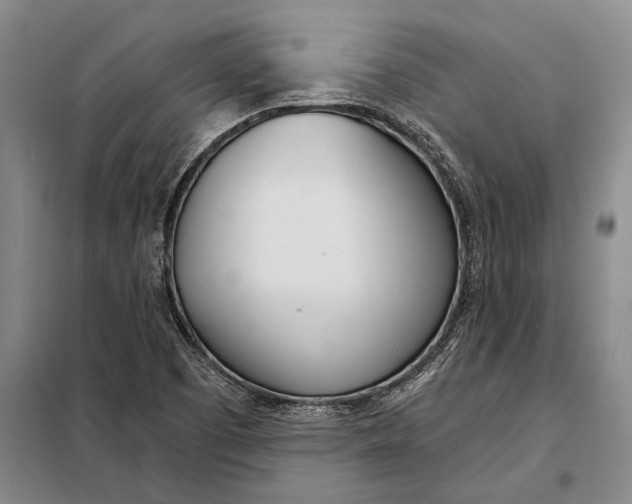 X0000098141457200805011332