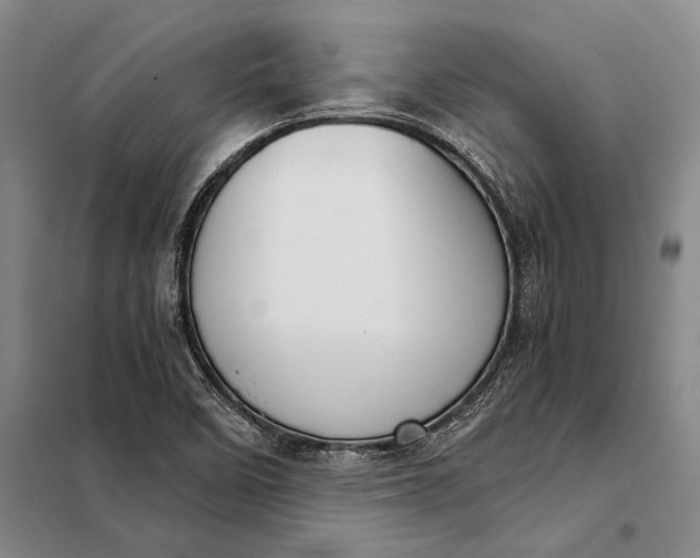 X0000098141458200805011332