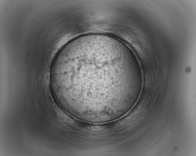 X0000098141459200805011332