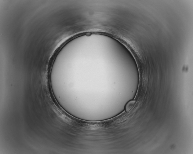 X0000098141460200805011332