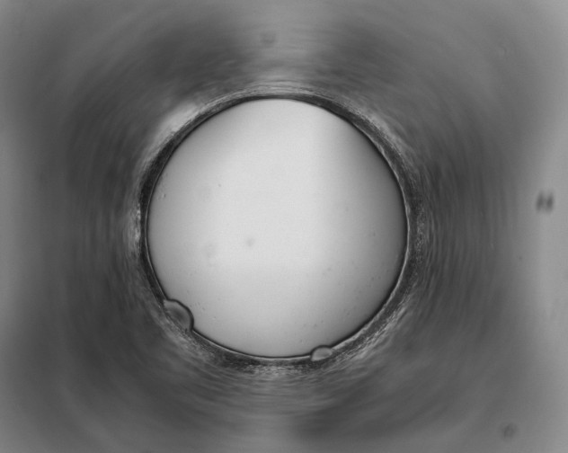 X0000098141461200805011332