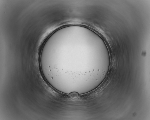 X0000098141464200805011332