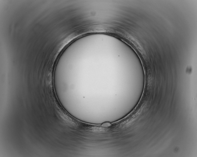 X0000098141465200805011332
