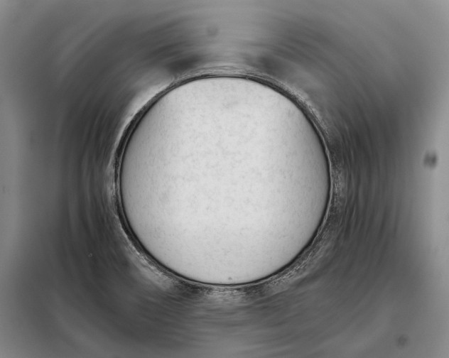 X0000098141466200805011332