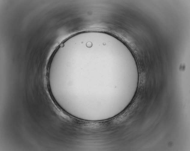 X0000098141470200805011332