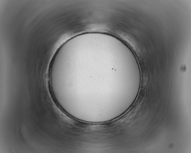X0000098141471200805011332
