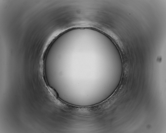X0000098141472200805011332