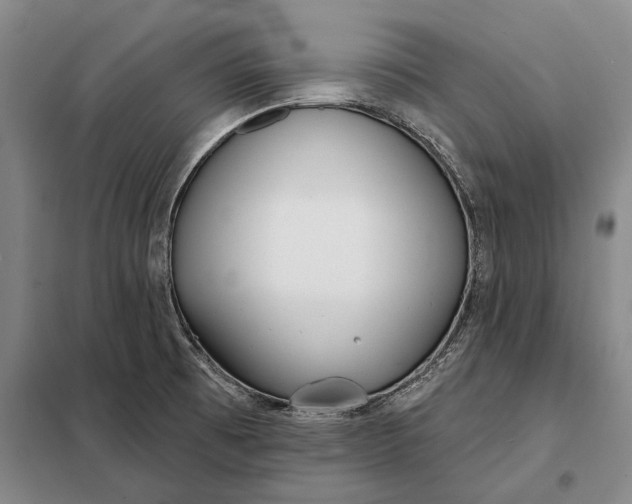 X0000098141473200805011332