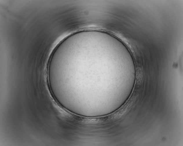 X0000098141474200805011332
