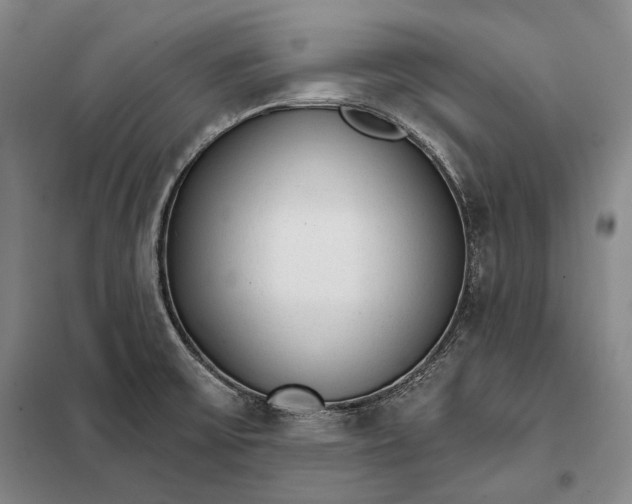 X0000098141475200805011332