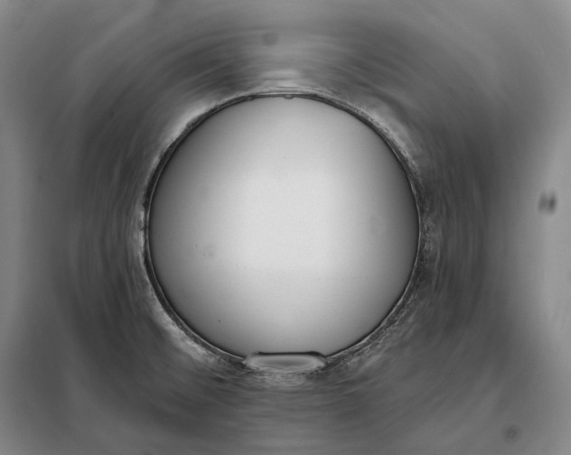 X0000098141476200805011332
