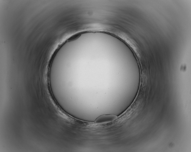 X0000098141477200805011332