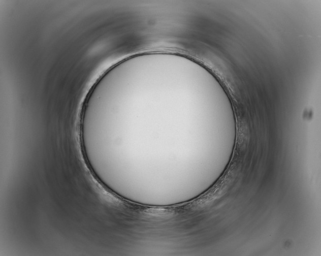 X0000098141478200805011332