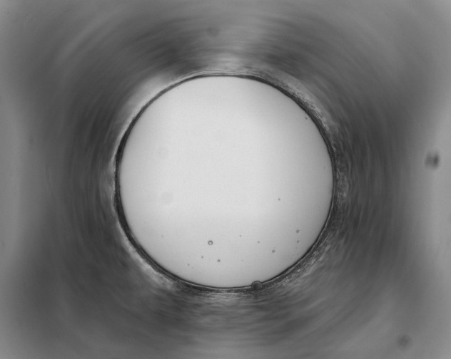 X0000098141479200805011332