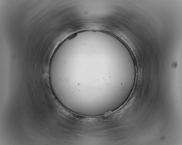 X0000098141481200805011332