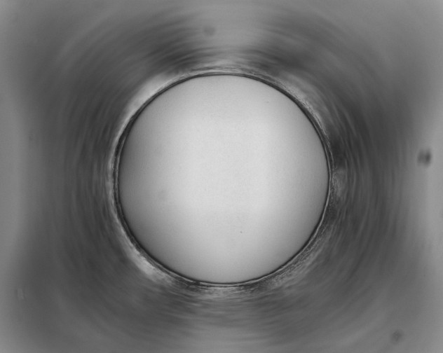 X0000098141482200805011332