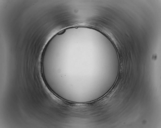 X0000098141483200805011332