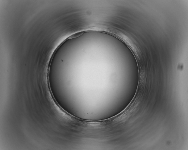 X0000098141484200805011332