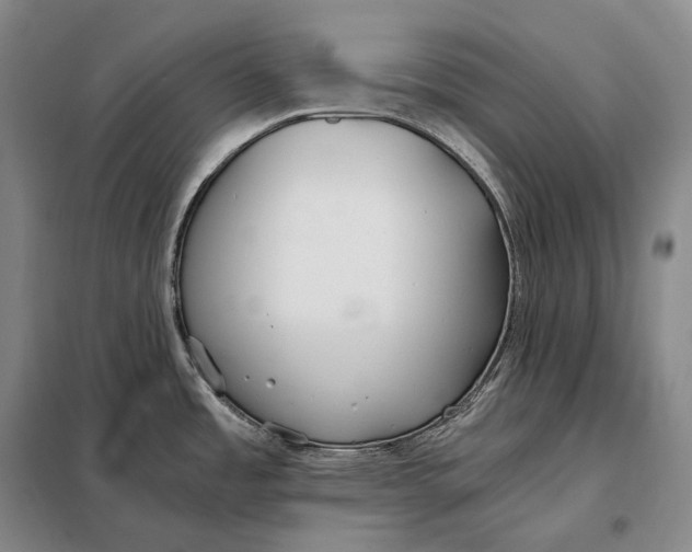 X0000098141485200805011332