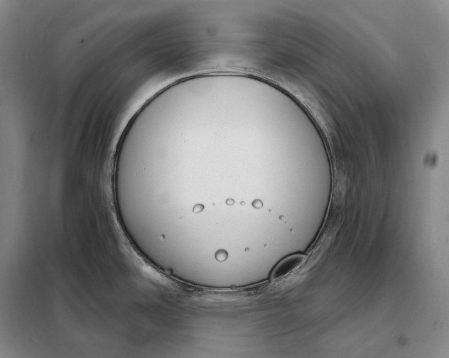 X0000098141486200805011332