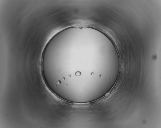 X0000098141487200805011332