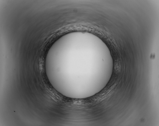 X0000098141490200805011331