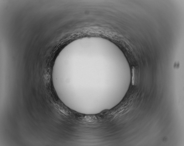 X0000098141491200805011331