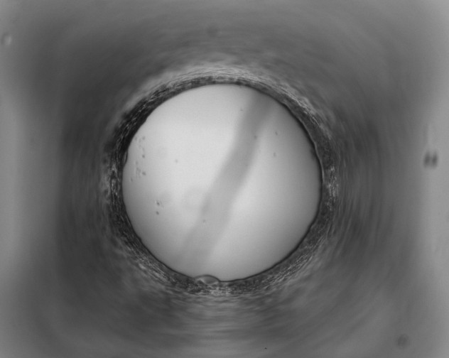 X0000098141495200805011331