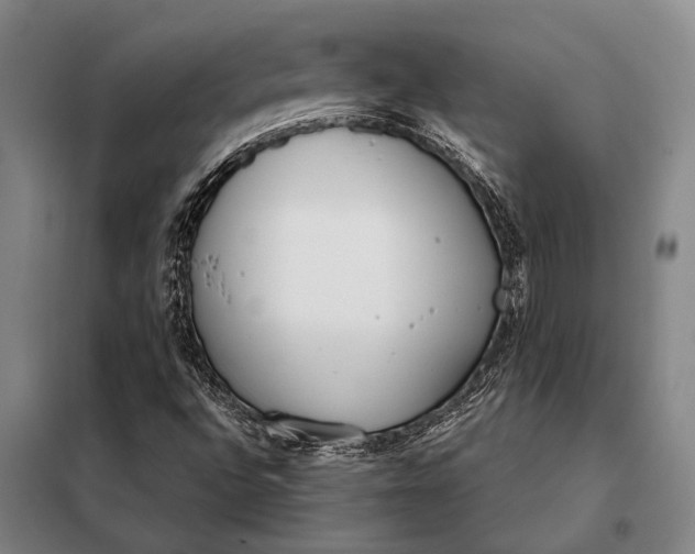 X0000098141496200805011331