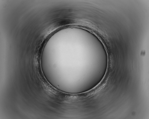 X0000098141497200805011331