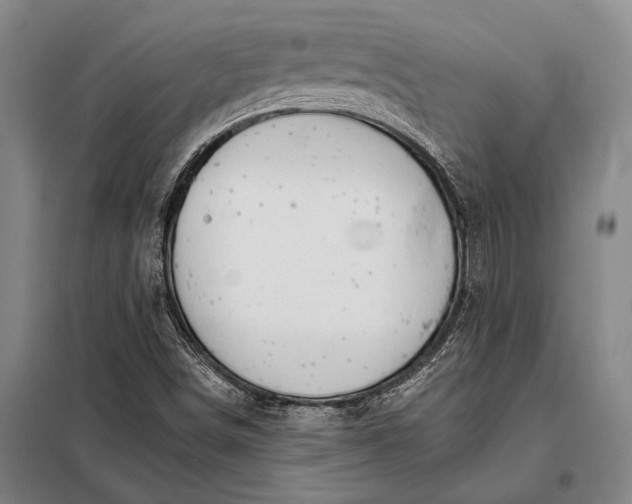 X0000098141498200805011331