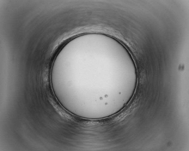 X0000098141499200805011331