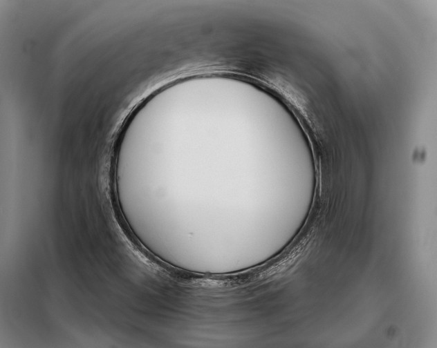 X0000098141500200805011331