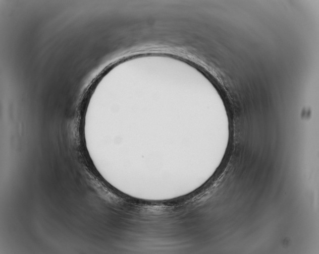 X0000098141502200805011332