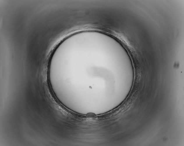X0000098141504200805011332