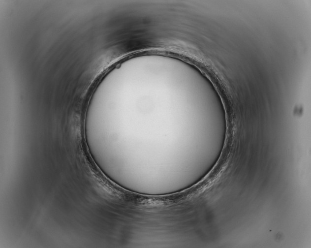 X0000098141505200805011332