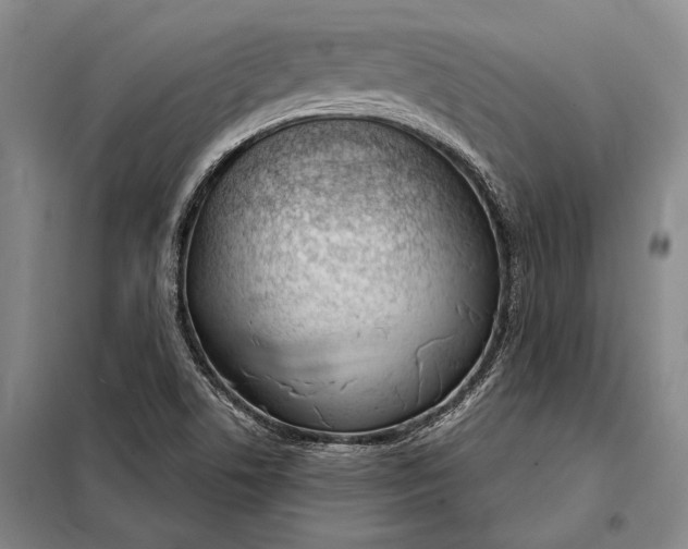 X0000098141506200805011332
