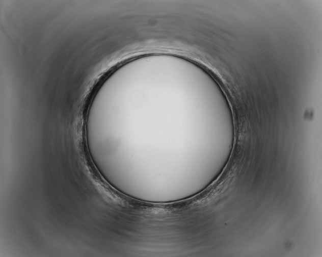 X0000098141507200805011332