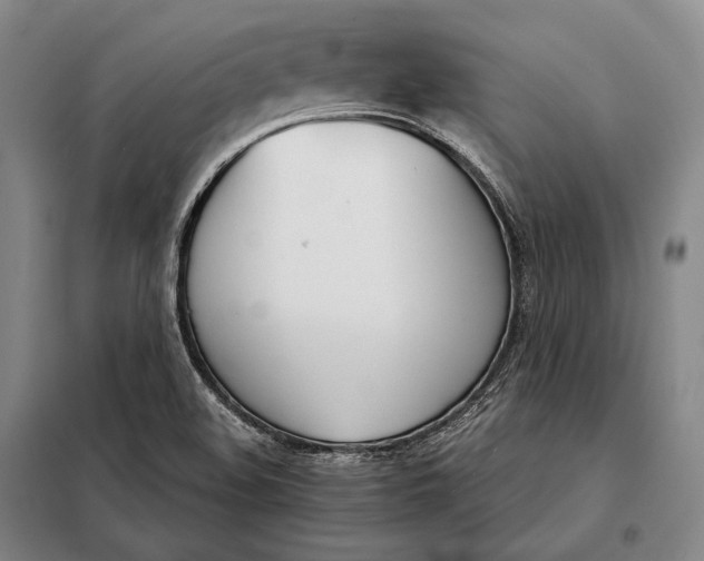 X0000098141508200805011332