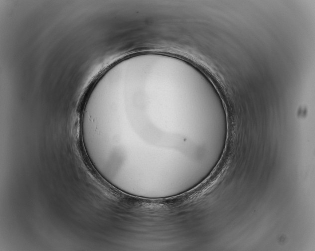 X0000098141509200805011332