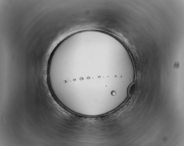 X0000098141512200805011332