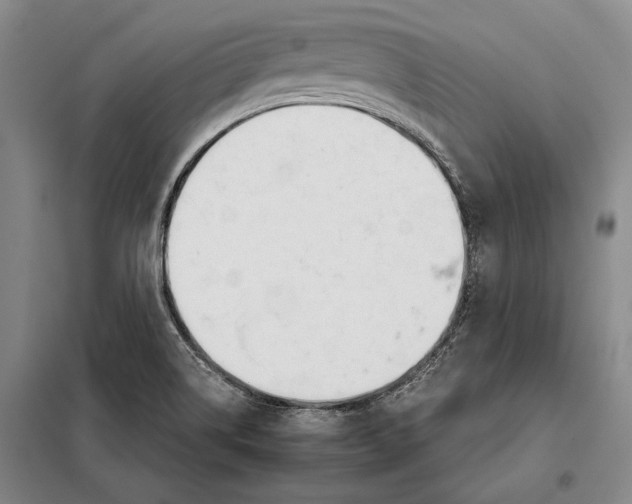 X0000098141514200805011332