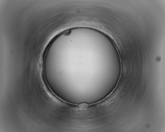 X0000098141515200805011332
