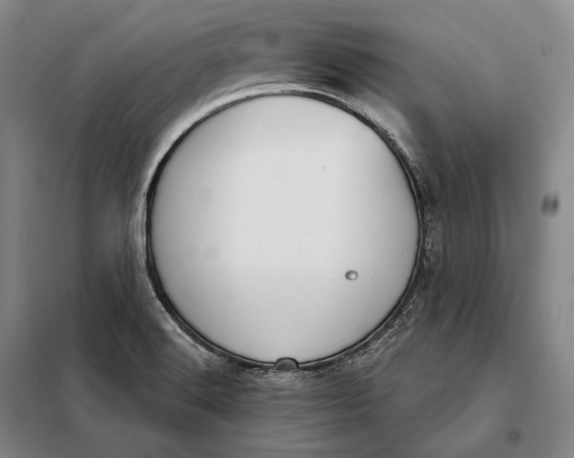 X0000098141516200805011332