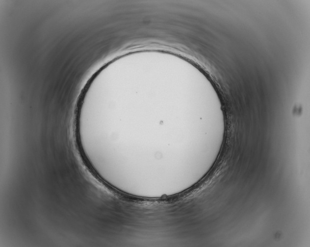 X0000098141518200805011332