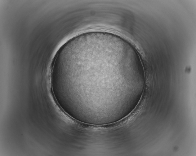 X0000098141522200805011332